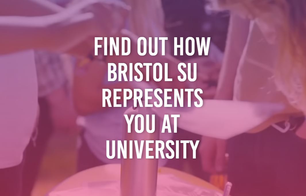 Find out how Bristol SU represents you at university